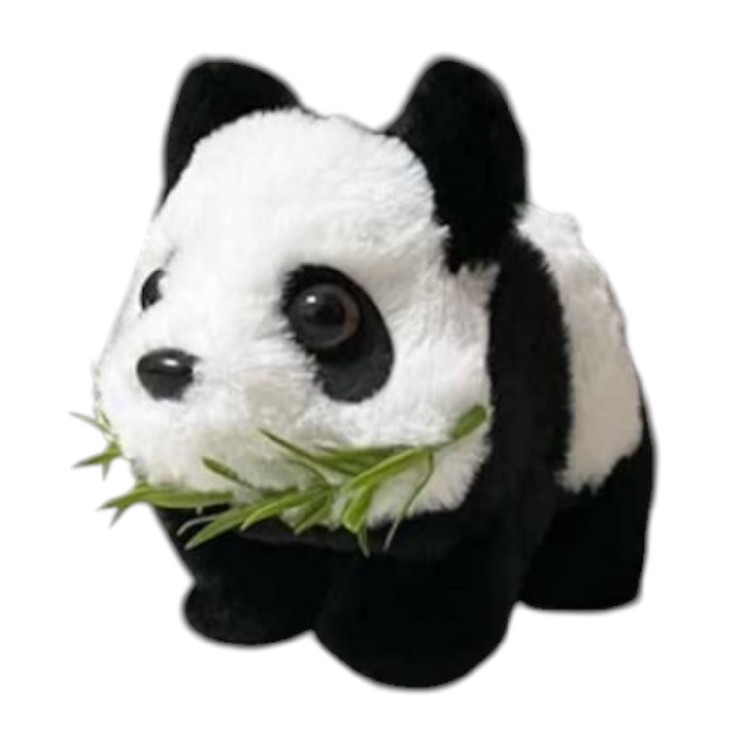 Electric Panda(12PC) TD-046